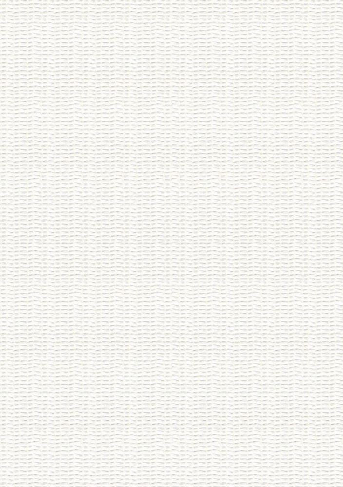 Kvadrat Lino Net 0100 - 295 cm