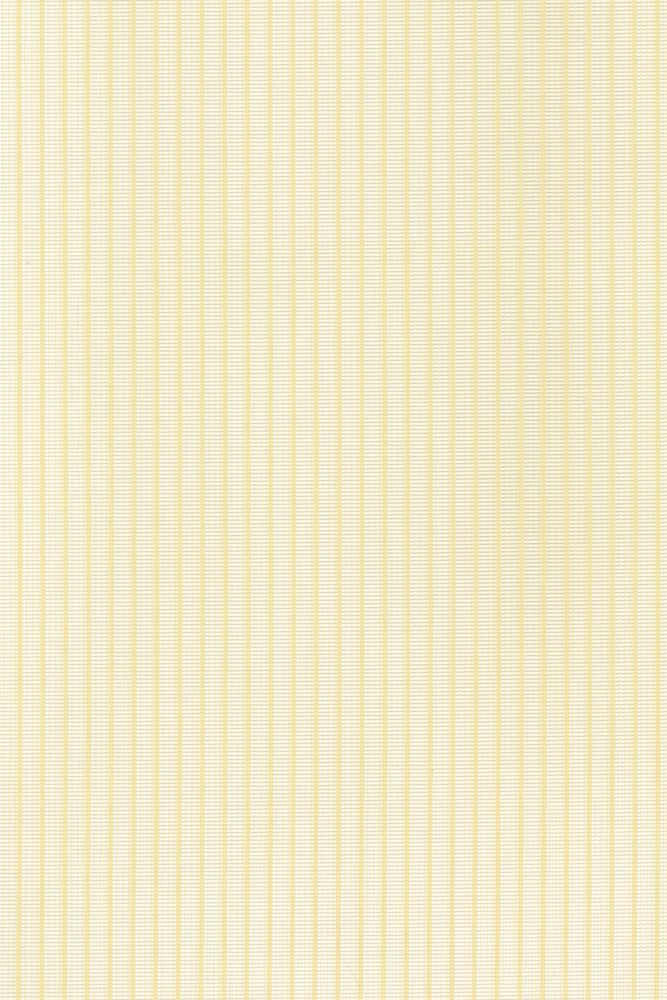 Kvadrat Maya 0429 - 300 cm