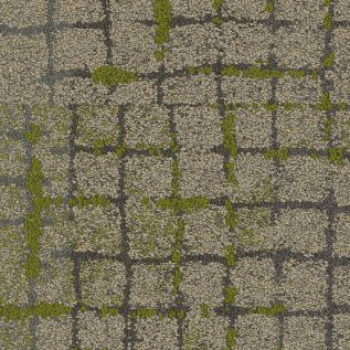 Moss In Stone