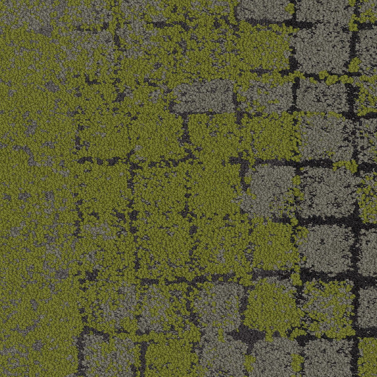 Interface Moss - Flint/Moss - kleurbeeld
