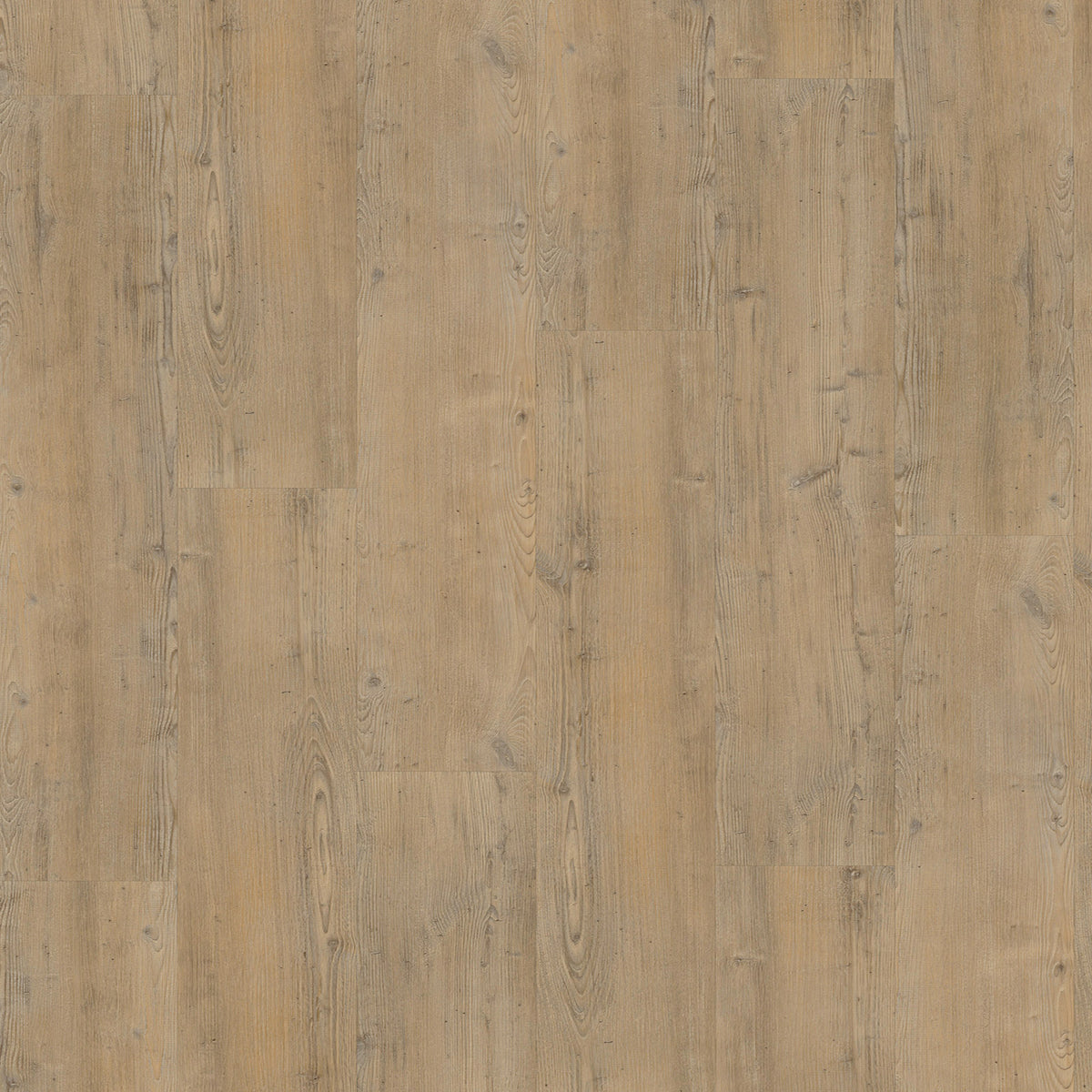 Vivafloors Naaldhout 4203 - Click