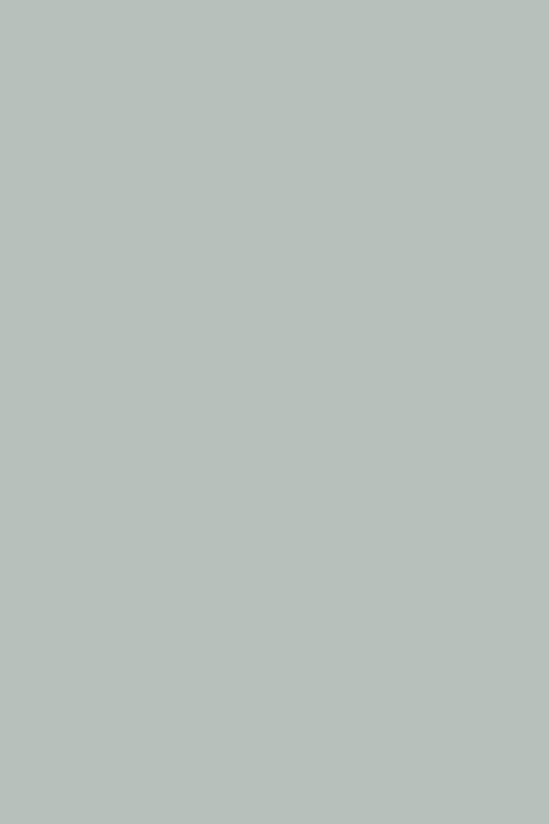 Sative Orabelle 406