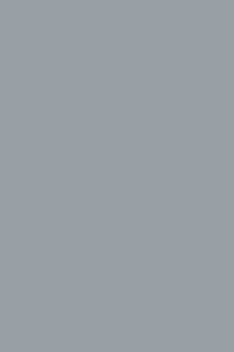 Sative Orabelle 477