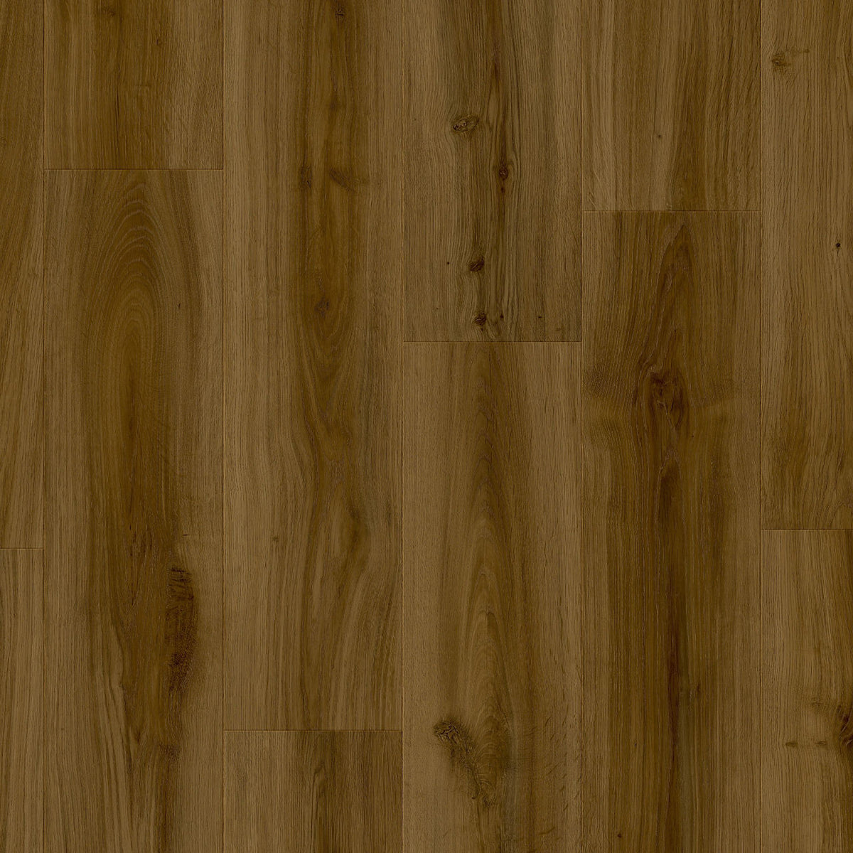 Moduleo Classic Oak 24881 - LayRed - Small plank