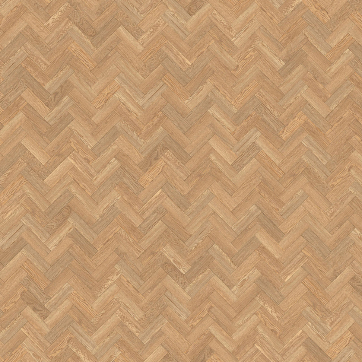 Amtico Spacia Pale Ash SS5W2518