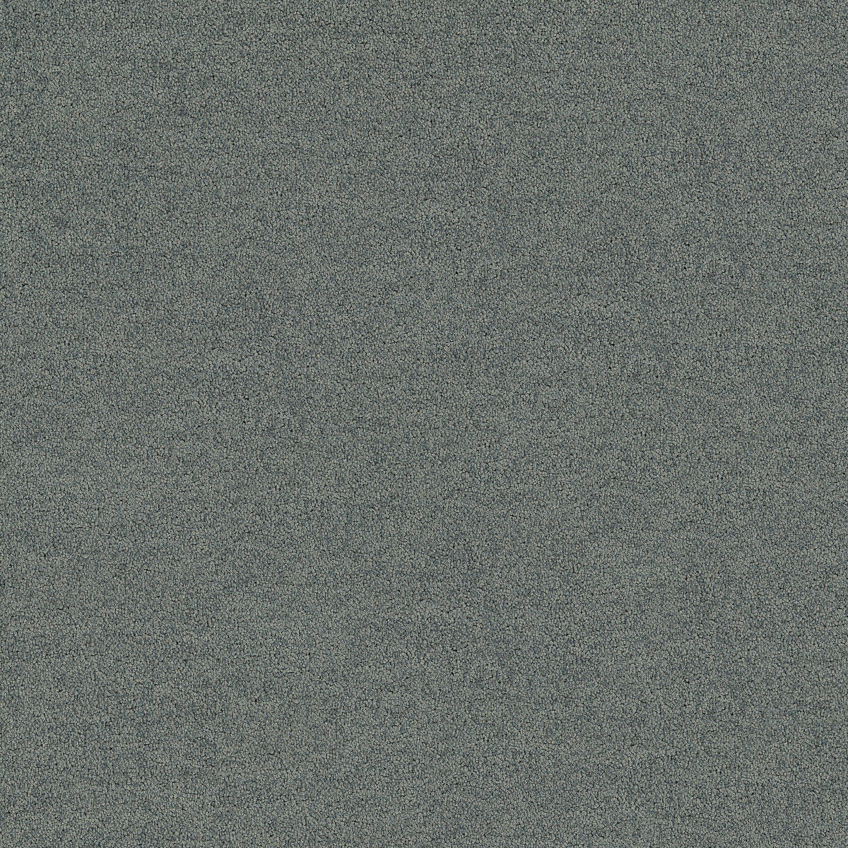 Interface Polichrome Solid - Cinder