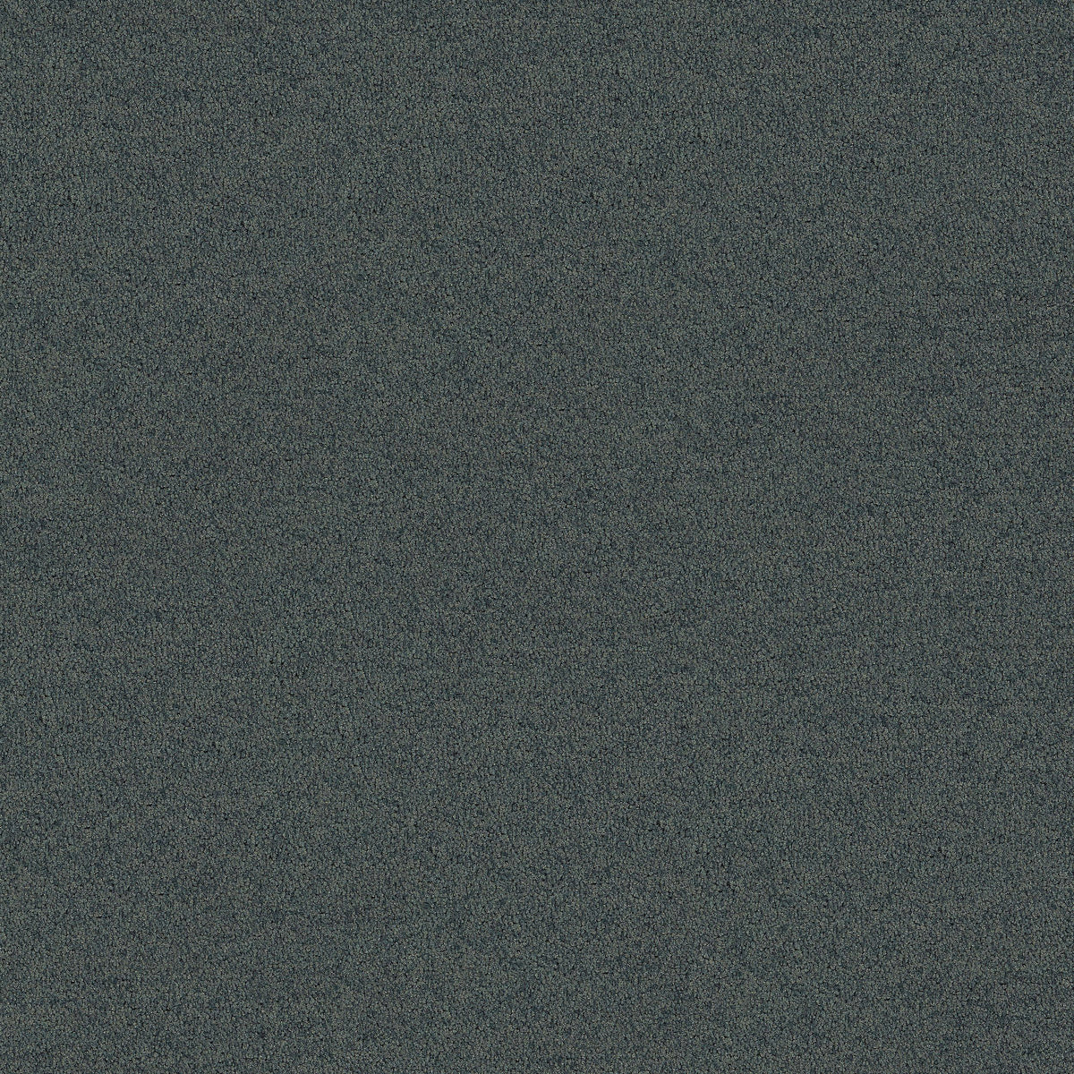 Interface Polichrome Solid - Cloudburst