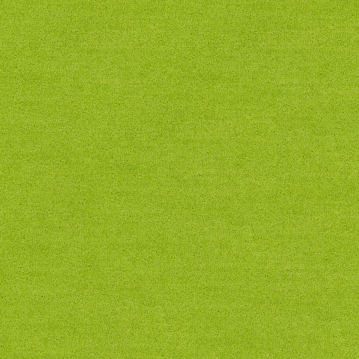 Interface Polichrome Solid - Daiquiri
