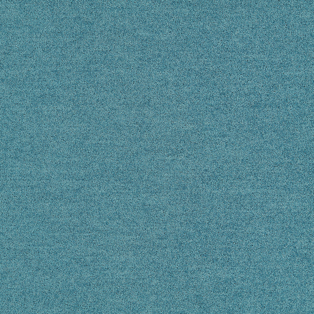 Interface Polichrome Solid - Distant