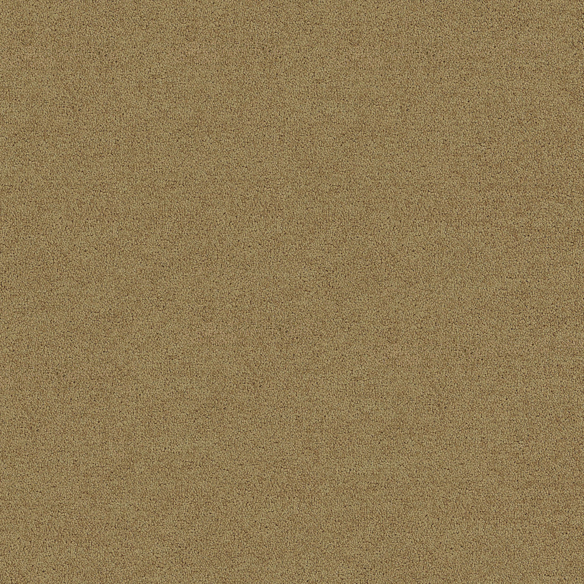 Interface Polichrome Solid - Marzipan