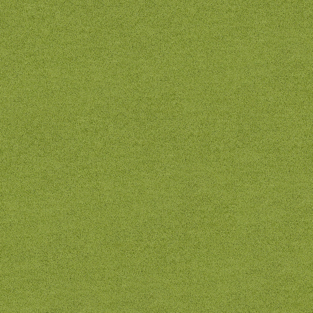 Interface Polichrome Solid - Peridot