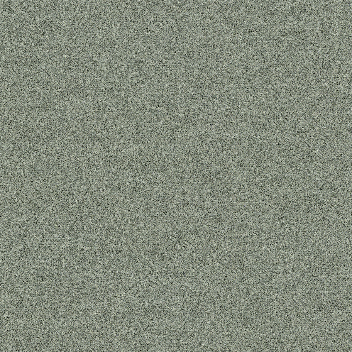 Interface Polichrome Solid - Silk Grey