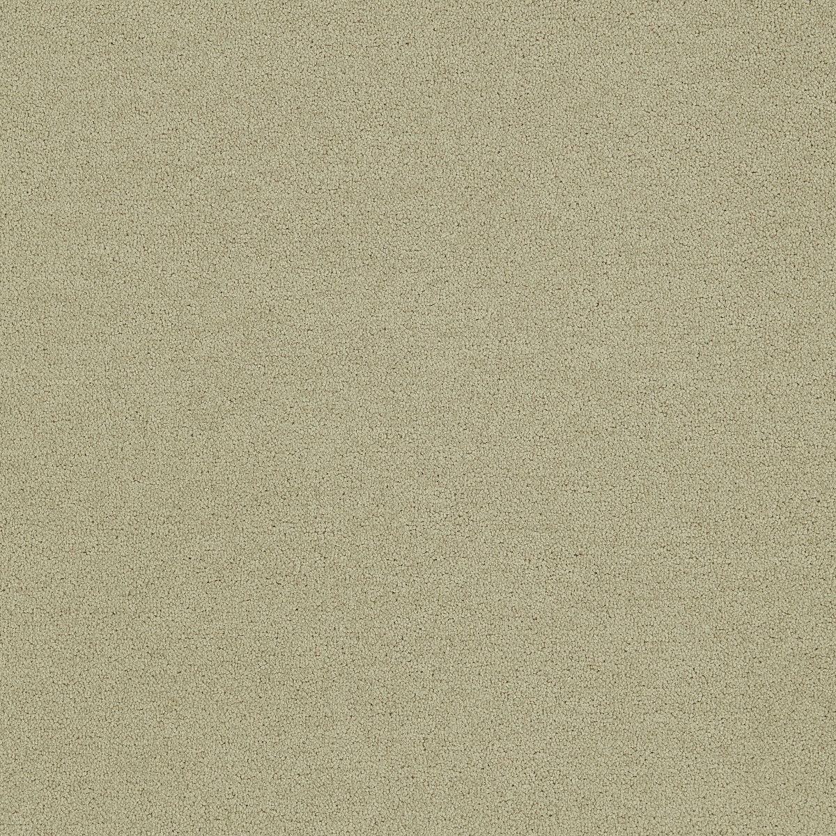 Interface Polichrome Solid - Turtledove - kleurbeeld