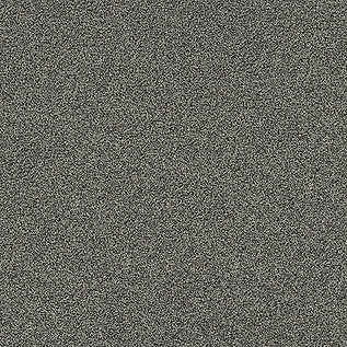 Polichrome Stipple