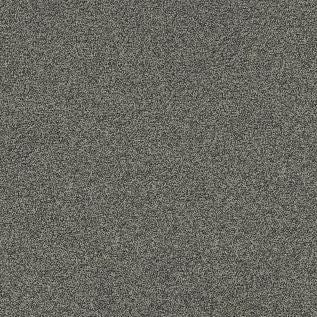 Polichrome Stipple