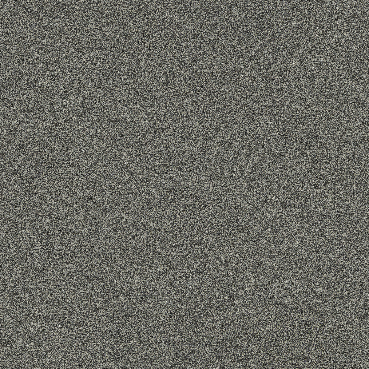 Interface Polichrome Stipple - Moonrock - kleurbeeld