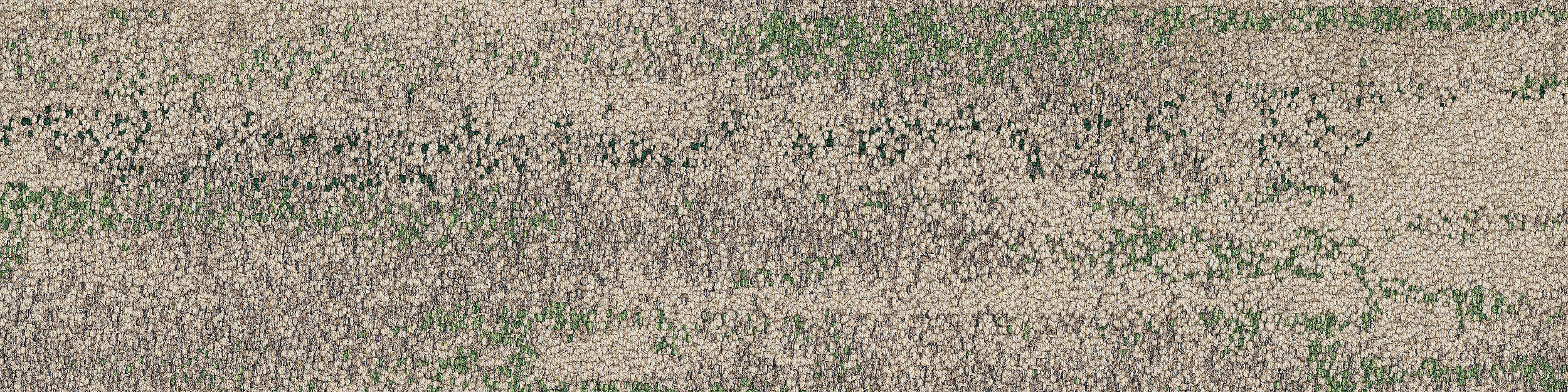 Interface Shallows - RAINFOREST