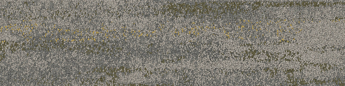 Interface Shallows - SPINIFEX