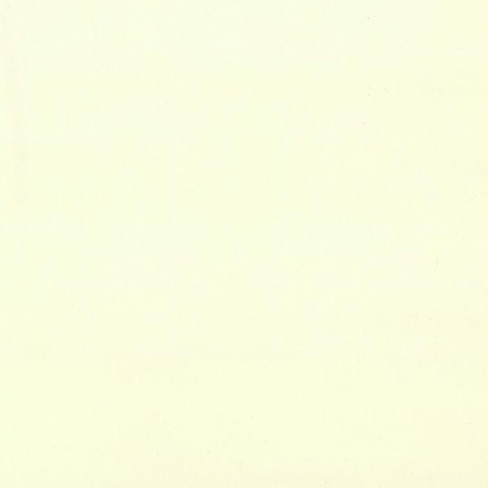 Sative Siglo 03