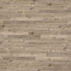 Amtico Spacia Sun Bleached Oak SS5W2531