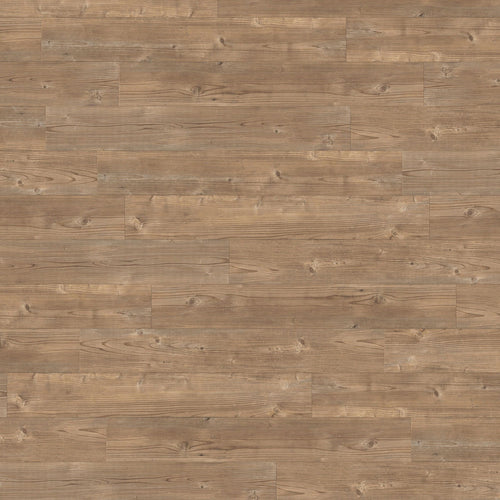 Amtico Spacia Dry Cedar SS5W2535