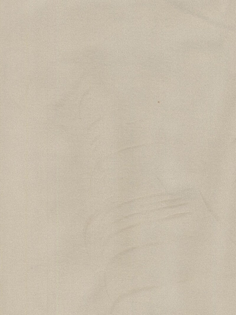 Sative Stella 001