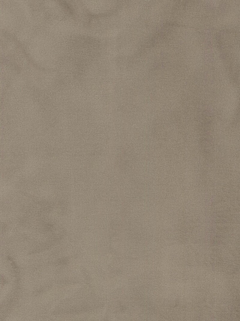 Sative Stella 004