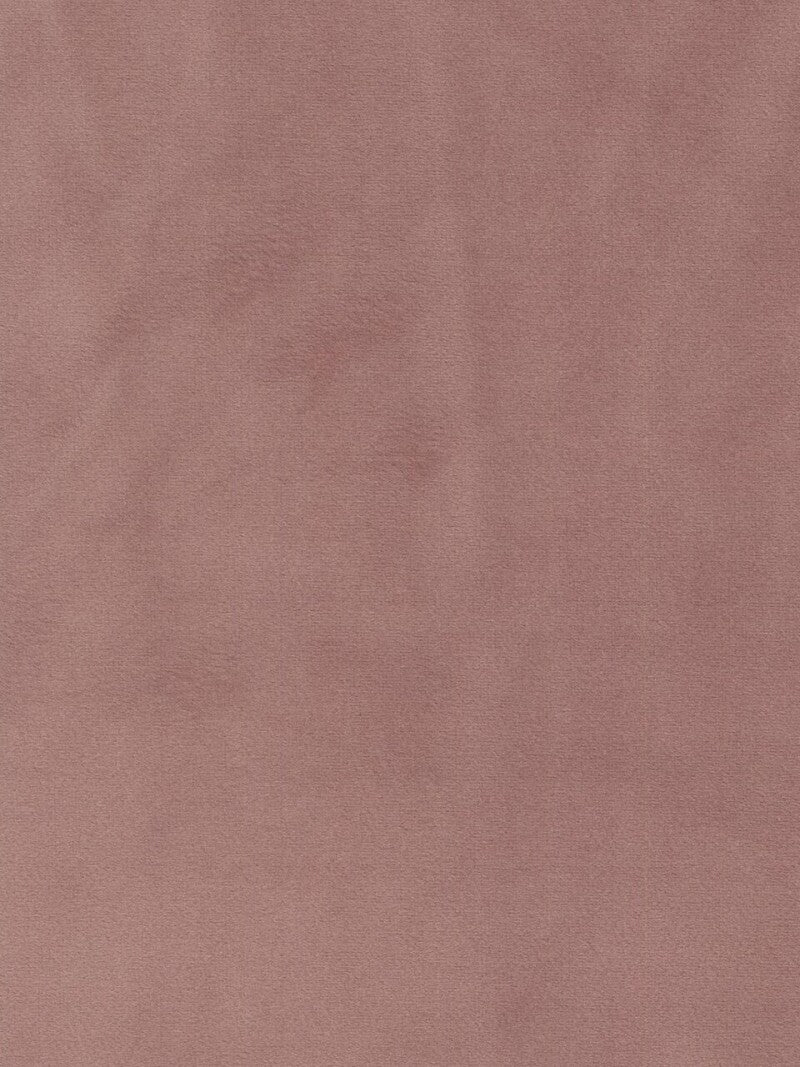 Sative Stella 019