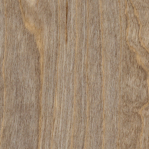 Amtico Access Bleached Elm SX5W2516