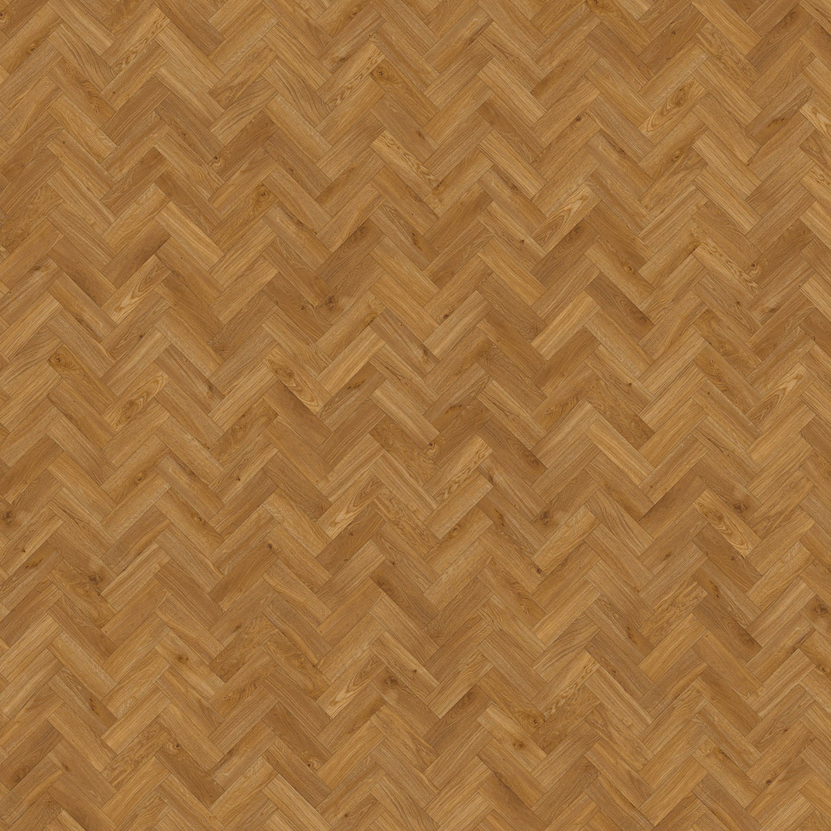 Amtico Spacia Traditional Oak SS5W2514