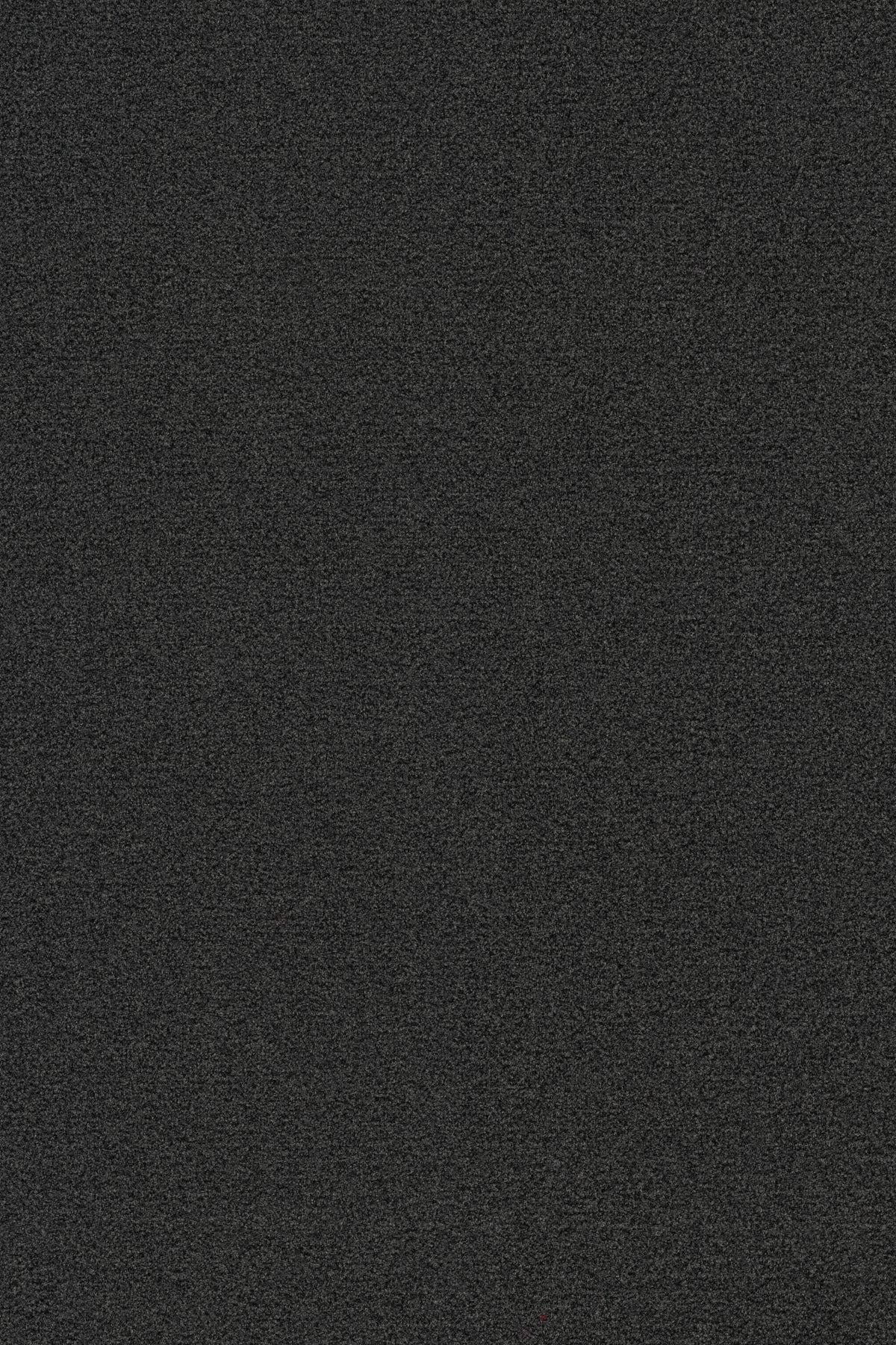 Coral Brush 5221 HURRICANE GREY - productbeeld