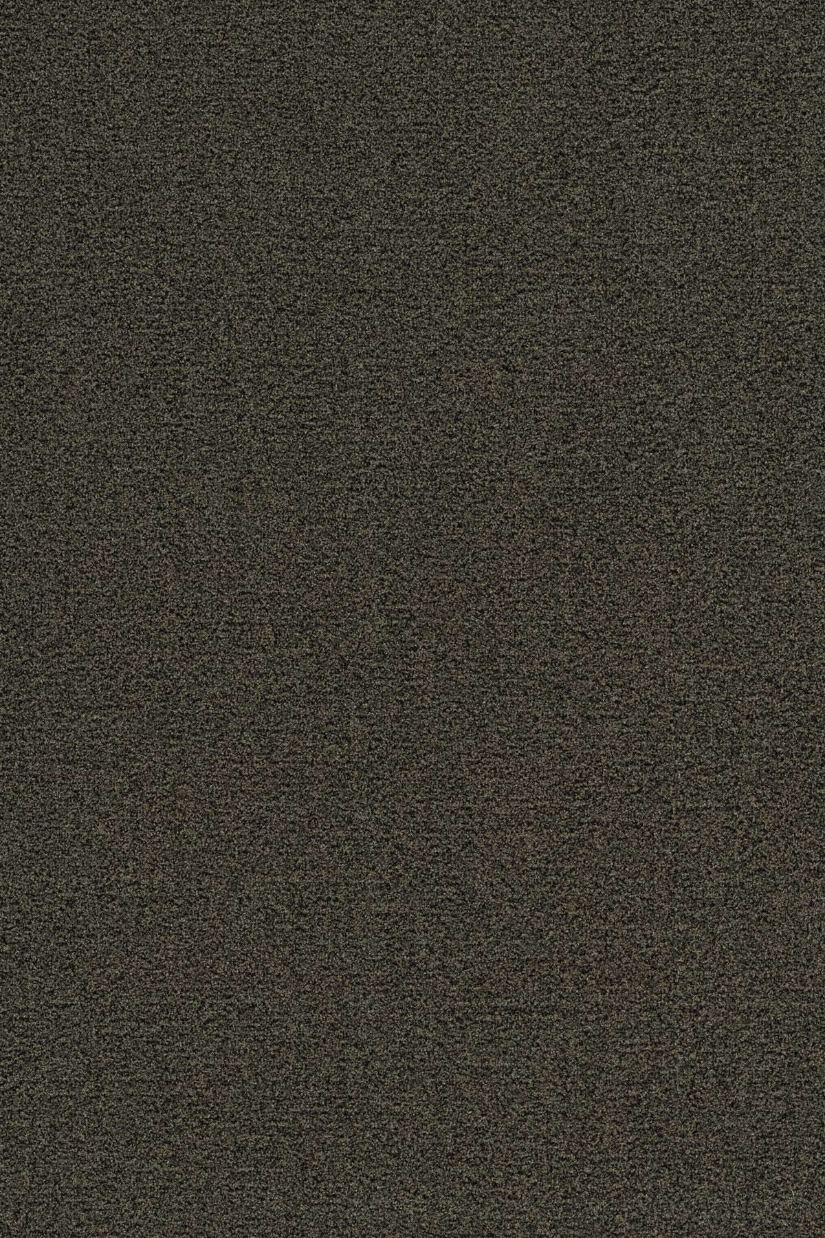 Coral Brush 5234 FOSSIL GREY - productbeeld