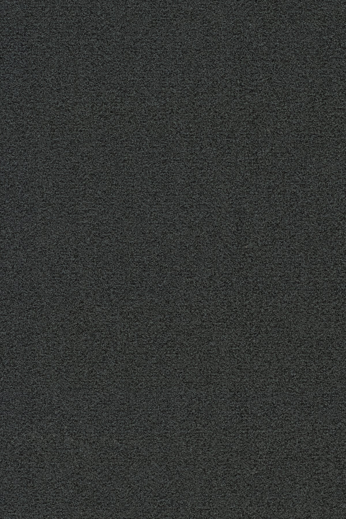 Coral Brush 5235 WHISPER GREY - productbeeld