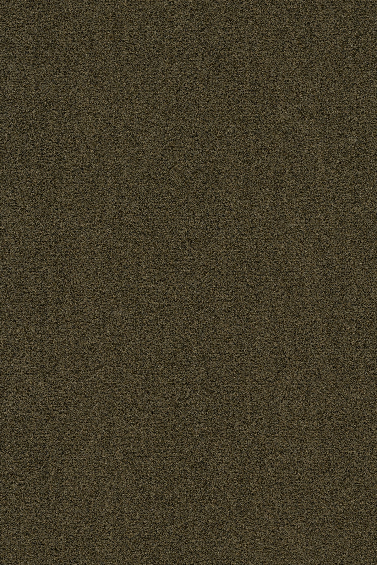 Coral Brush 5284 OLIVE GREEN - productbeeld