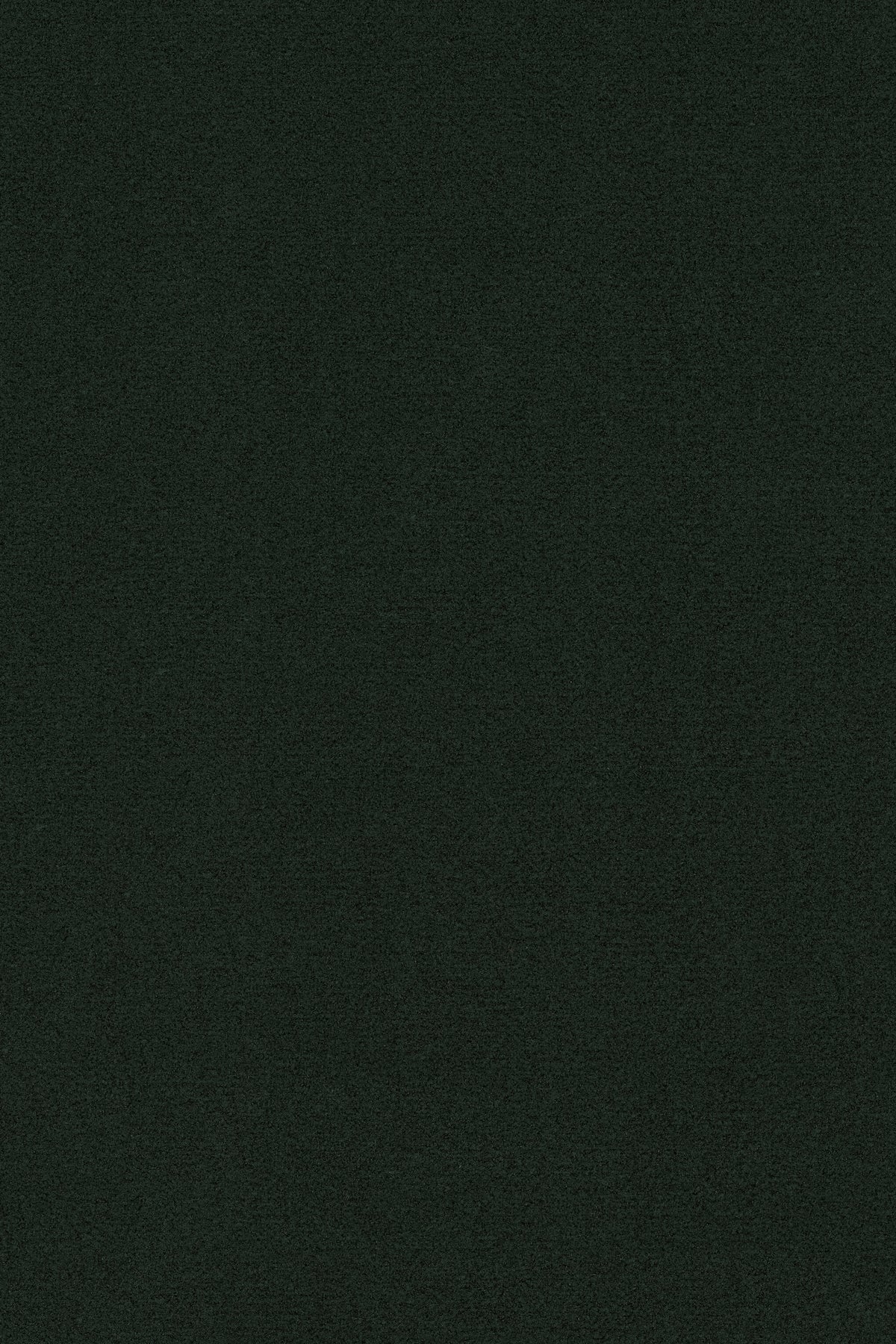 Coral Brush 5288 RACING GREEN - productbeeld