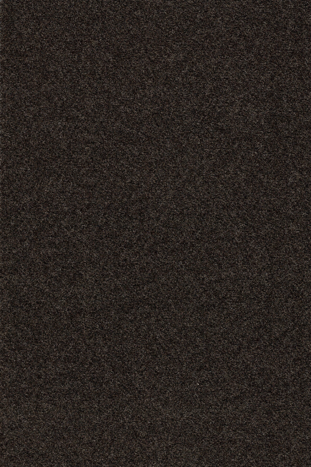 Coral Brush 5715 Charcoal Grey - productbeeld