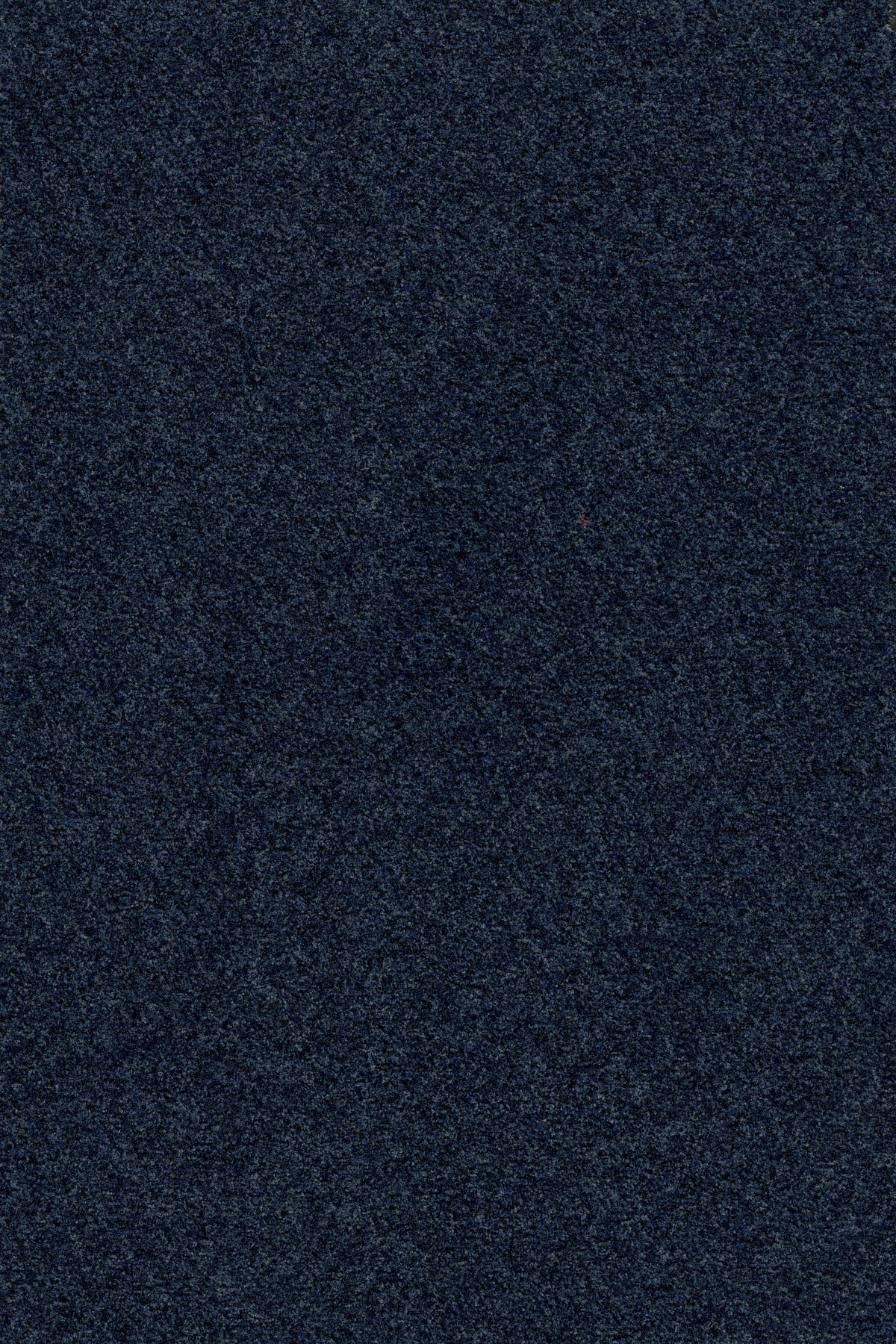 Coral Brush 5727 Stratos Blue - productbeeld