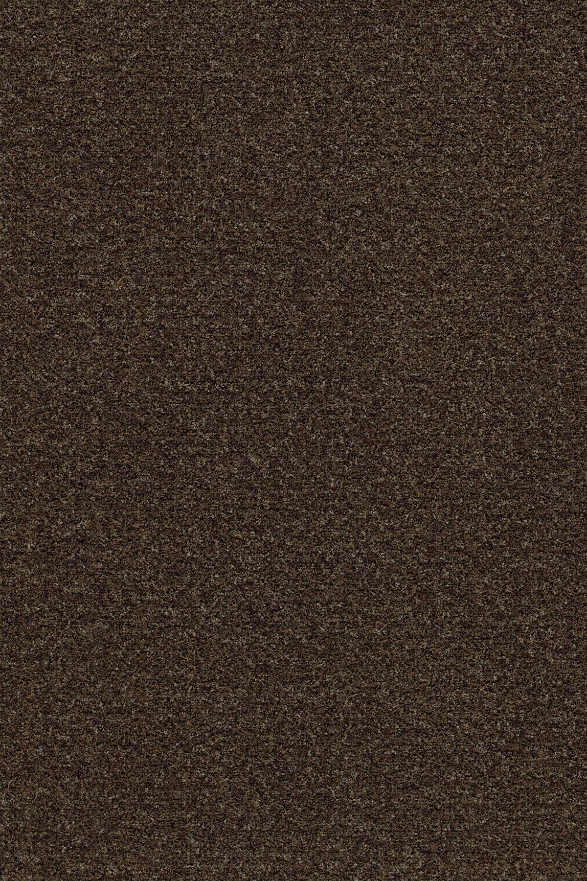 Coral Brush 5774 Biscotti Brown - productbeeld