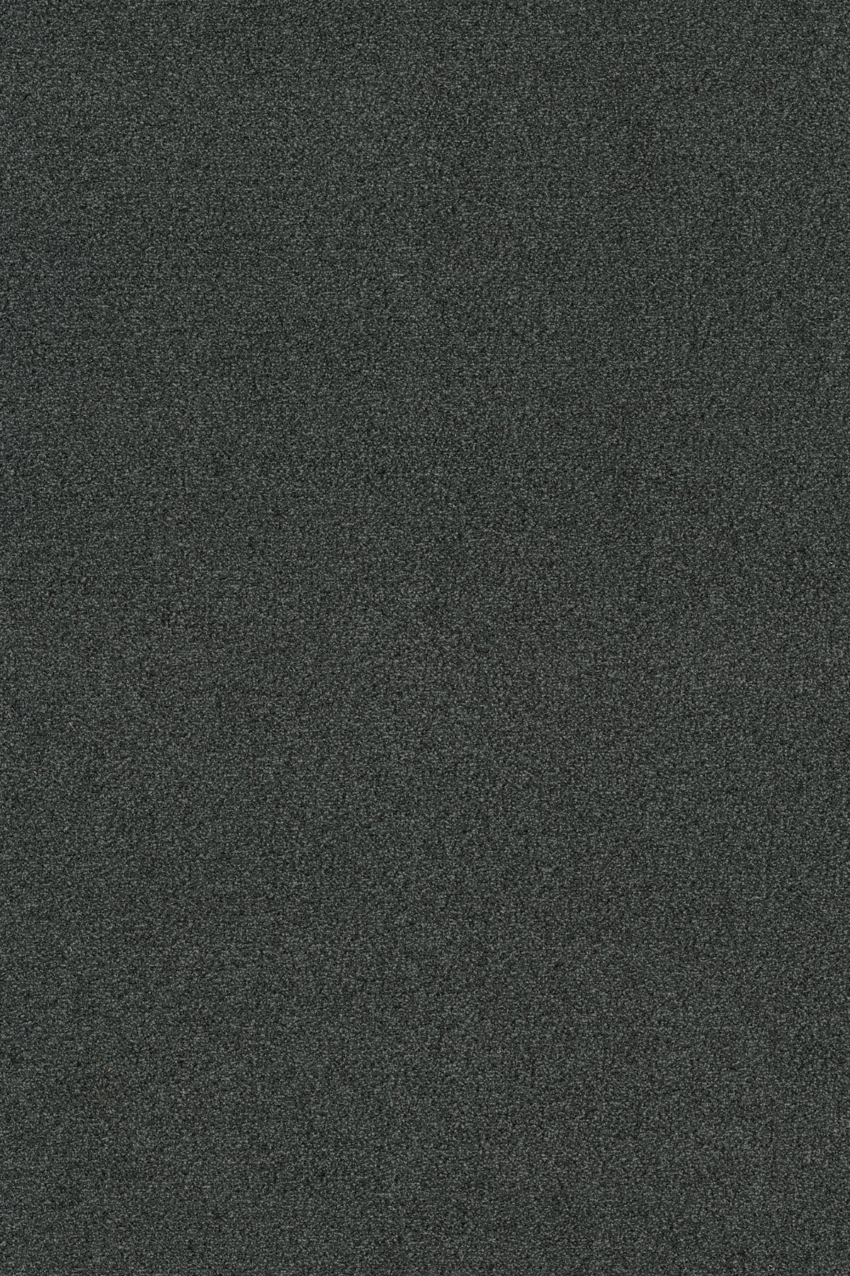 Coral Classic 4721 MOUSE GREY - productbeeld