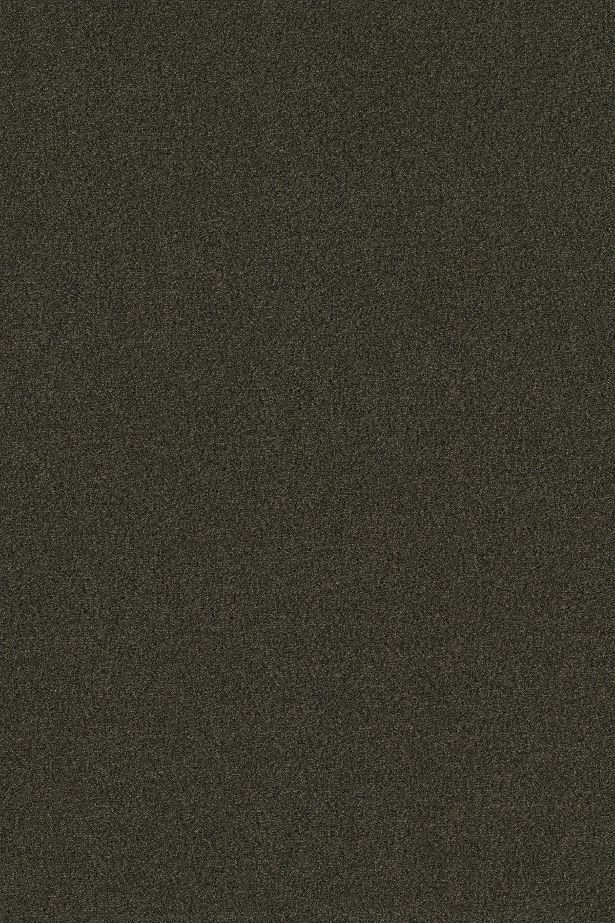 Coral Classic 4734 SPUN GOLD - productbeeld