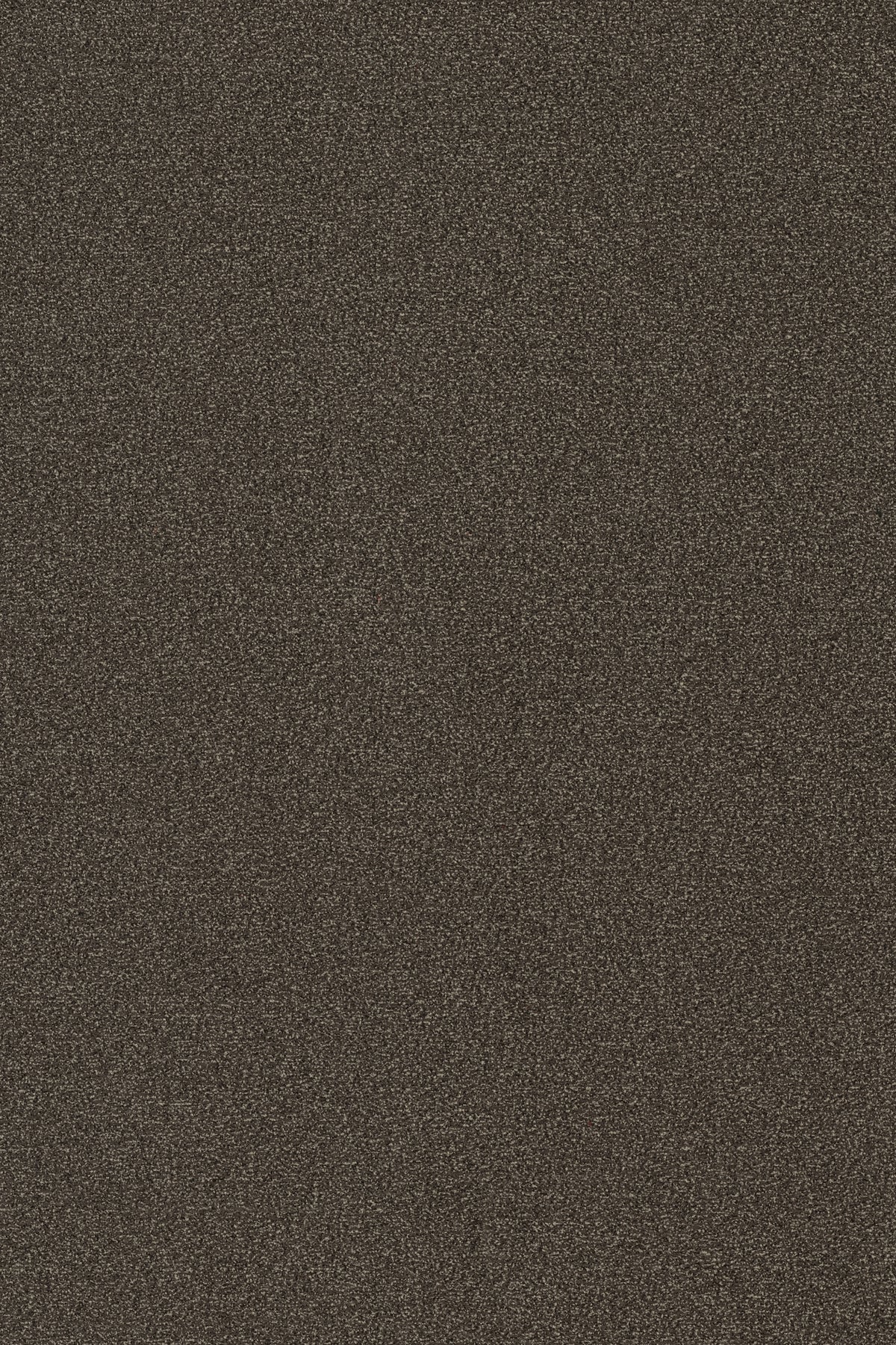 Coral Classic 4794 TAUPE - productbeeld