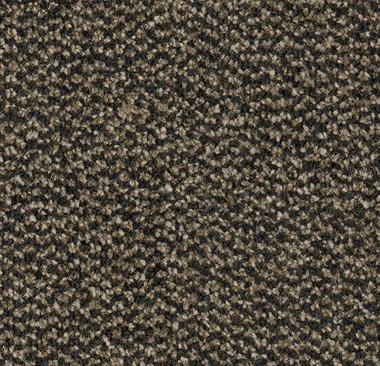 Forbo Coral Marine 4204 Santos Brown FR op rol