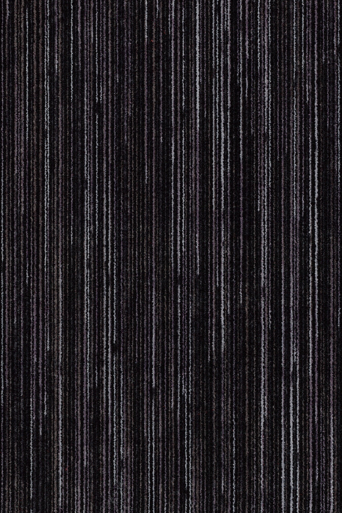 Coral Welcome 3210 BLACK MAGIC - productbeeld
