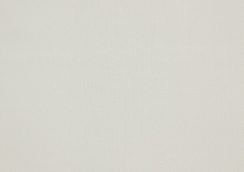Sative Suede Pass White