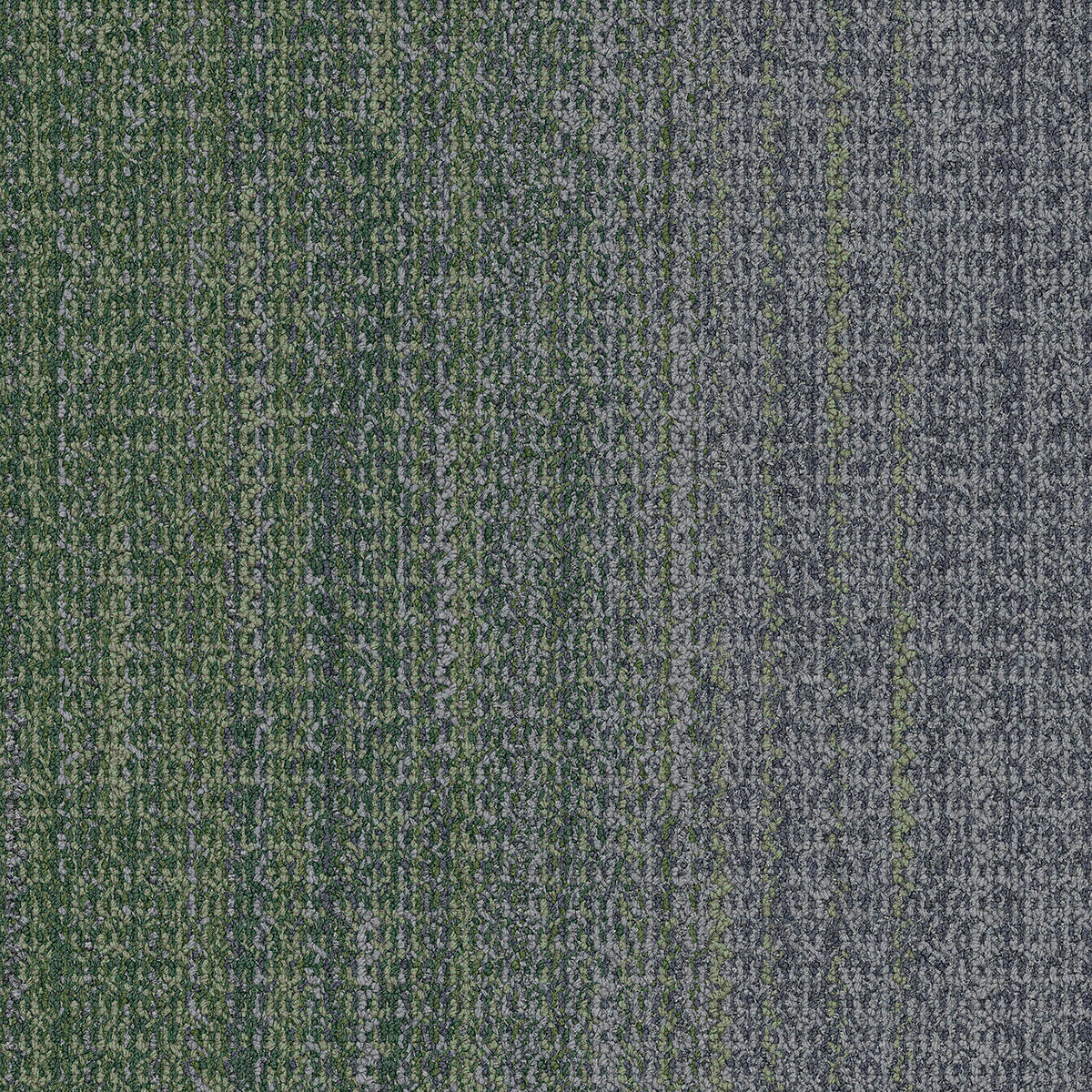 Interface WG200 - Charcoal/Forest